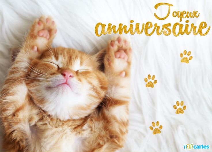 Happy Birthday Wiches Carte Joyeux Anniversaire Le Chat Qui Dort A Envoyer Sur Facebook Ou A Telec Yesbirthday Home Of Birthday Wishes Inspiration